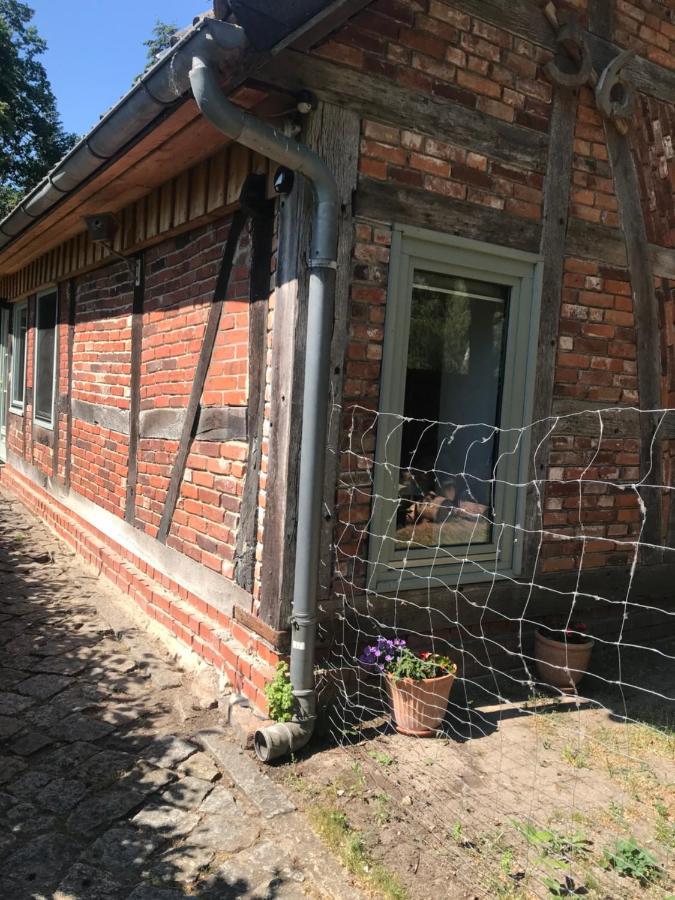 Gemuetliche Ferienwohnung An Der Elbe Bleckede Luaran gambar
