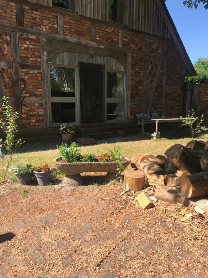 Gemuetliche Ferienwohnung An Der Elbe Bleckede Luaran gambar