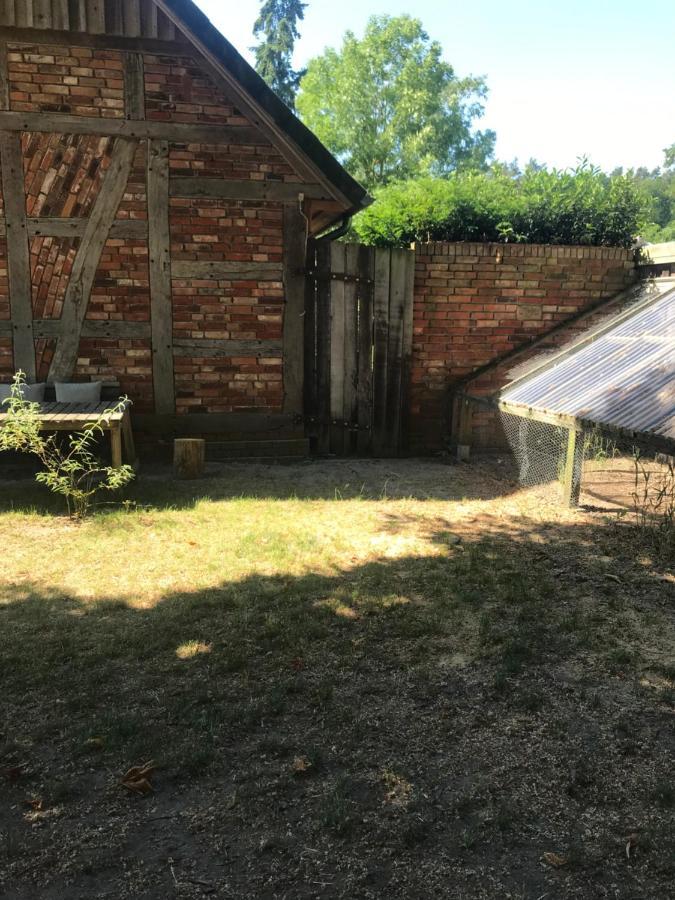 Gemuetliche Ferienwohnung An Der Elbe Bleckede Luaran gambar