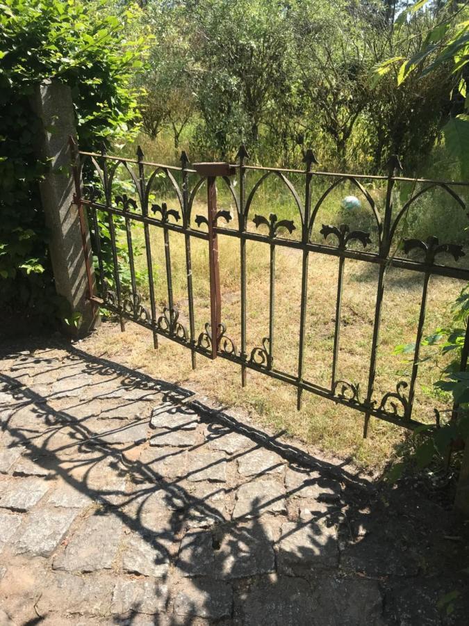 Gemuetliche Ferienwohnung An Der Elbe Bleckede Luaran gambar