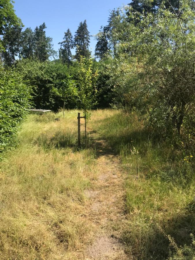 Gemuetliche Ferienwohnung An Der Elbe Bleckede Luaran gambar